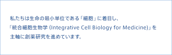 私たちは生命の最小単位である「細胞」に着目し、「統合細胞生物学（Integrative Cell Biology for Medicine)」を主軸に創薬研究を進めています。