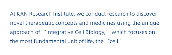 At KAN Research Institute, we conduct research to discover novel therapeutic concepts and medicines using the unique approach of “Integrative Cell Biology,” which focuses on the most fundamental unit of life, the “cell.”