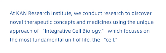 At KAN Research Institute, we conduct research to discover novel therapeutic concepts and medicines using the unique approach of “Integrative Cell Biology,” which focuses on the most fundamental unit of life, the “cell.”