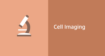 Cell Imaging