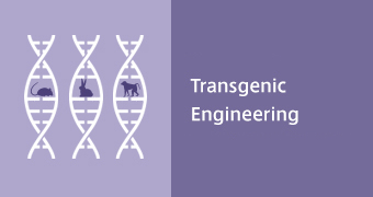 Transgenic Engineering